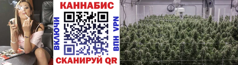 Шишки марихуана Bruce Banner  Галич 